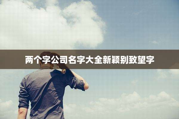 两个字公司名字大全新颖别致望字
