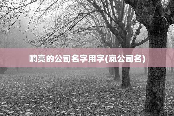 响亮的公司名字用字(岚公司名)