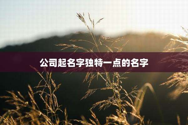 公司起名字独特一点的名字