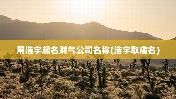 用浩字起名财气公司名称(浩字取店名)