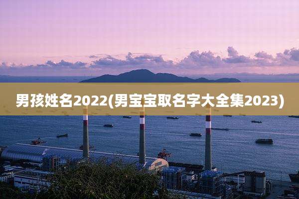 男孩姓名2022(男宝宝取名字大全集2023)