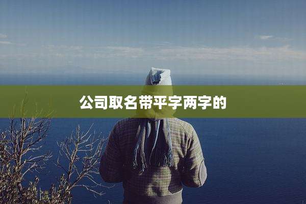 公司取名带平字两字的