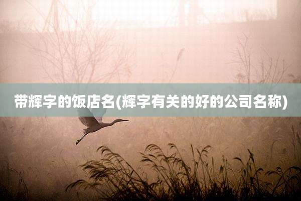 带辉字的饭店名(辉字有关的好的公司名称)