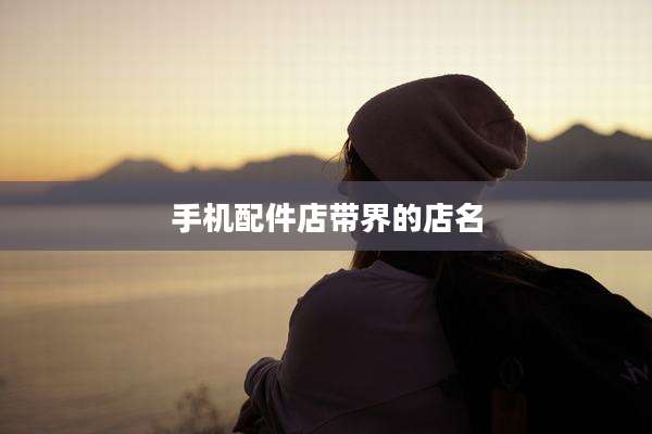 手机配件店带界的店名