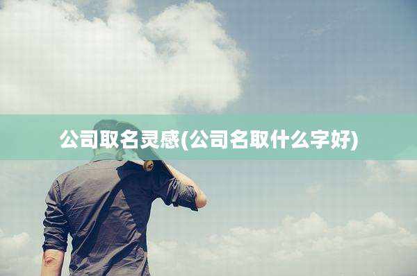 公司取名灵感(公司名取什么字好)
