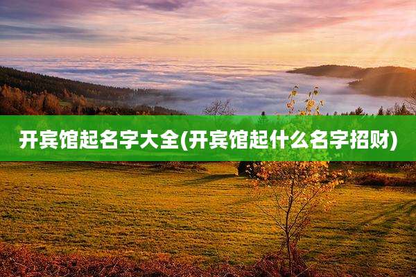 开宾馆起名字大全(开宾馆起什么名字招财)