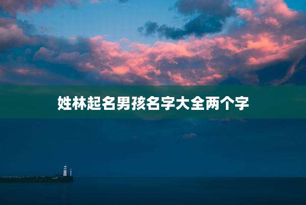 姓林起名男孩名字大全两个字