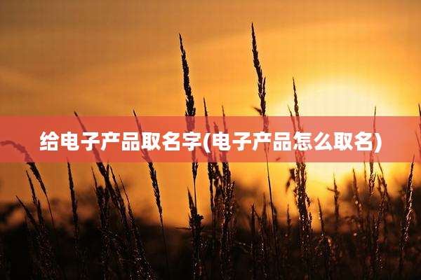 给电子产品取名字(电子产品怎么取名)