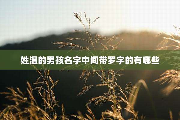 姓温的男孩名字中间带罗字的有哪些