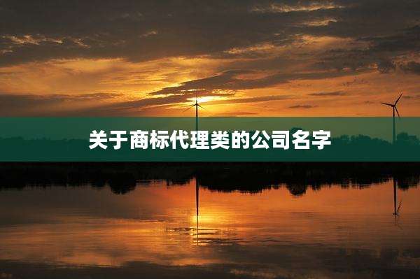 关于商标代理类的公司名字