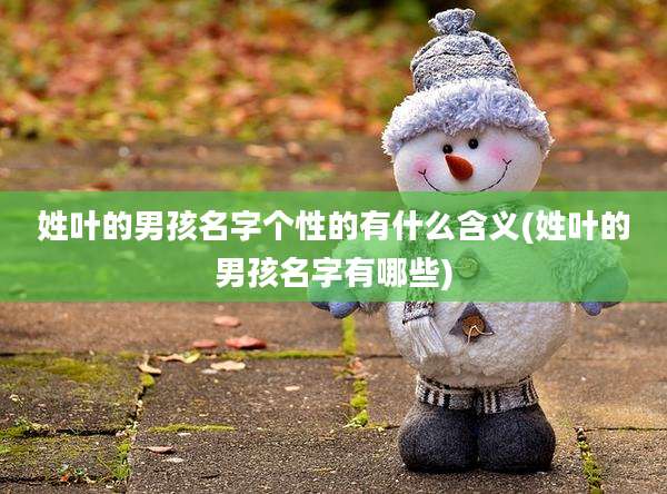 姓叶的男孩名字个性的有什么含义(姓叶的男孩名字有哪些)