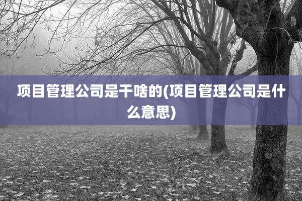 项目管理公司是干啥的(项目管理公司是什么意思)