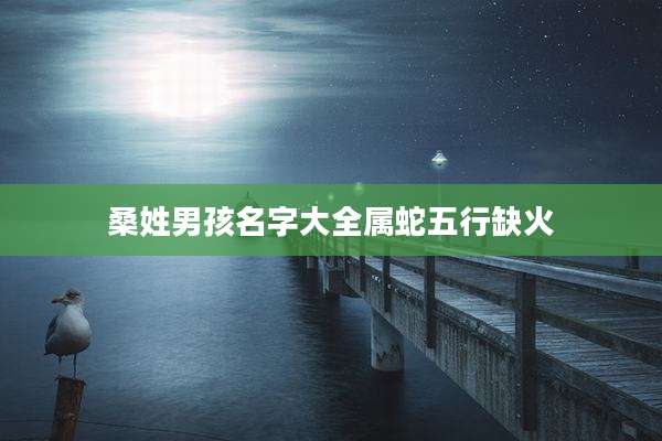 桑姓男孩名字大全属蛇五行缺火
