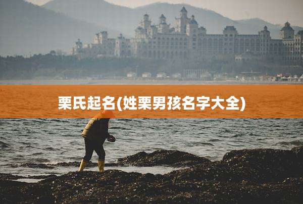栗氏起名(姓栗男孩名字大全)