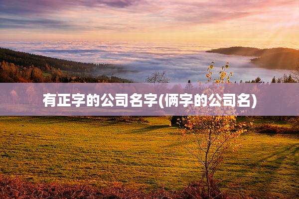 有正字的公司名字(俩字的公司名)