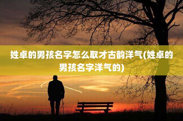 姓卓的男孩名字怎么取才古韵洋气(姓卓的男孩名字洋气的)