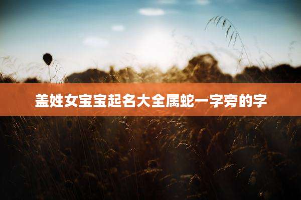 盖姓女宝宝起名大全属蛇一字旁的字