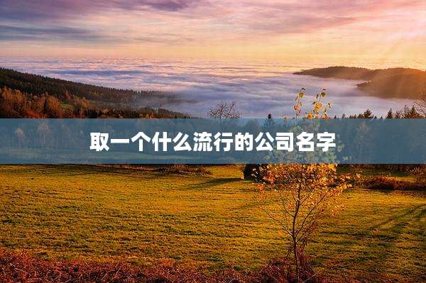 取一个什么流行的公司名字