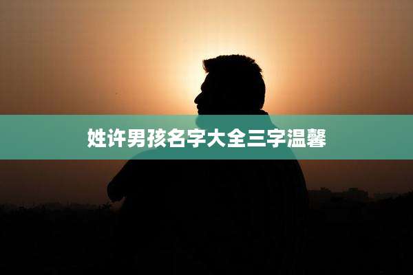 姓许男孩名字大全三字温馨