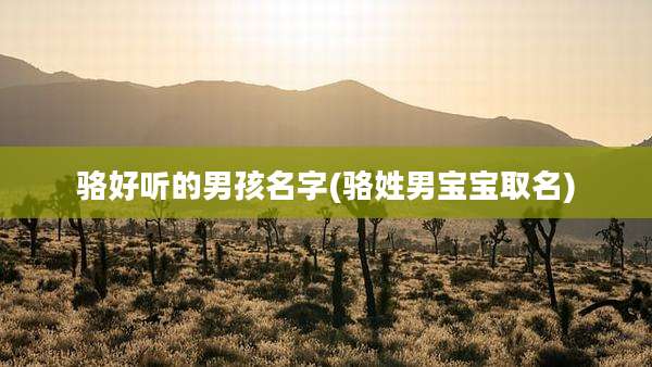 骆好听的男孩名字(骆姓男宝宝取名)