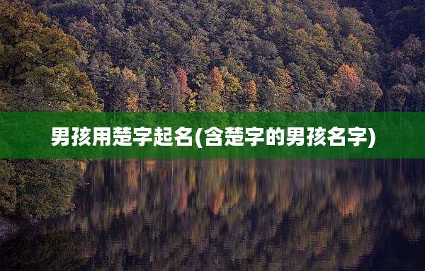 男孩用楚字起名(含楚字的男孩名字)