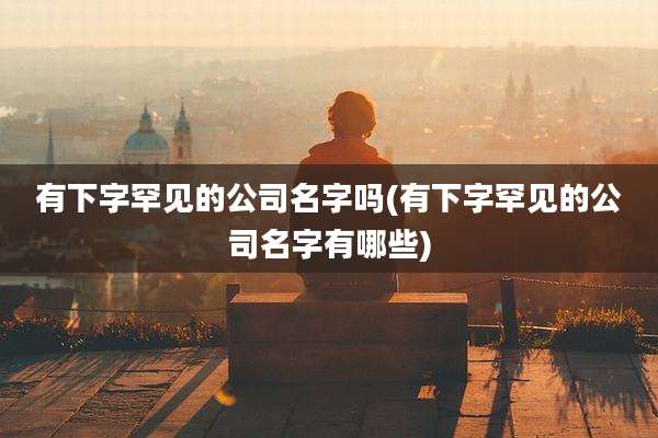 有下字罕见的公司名字吗(有下字罕见的公司名字有哪些)