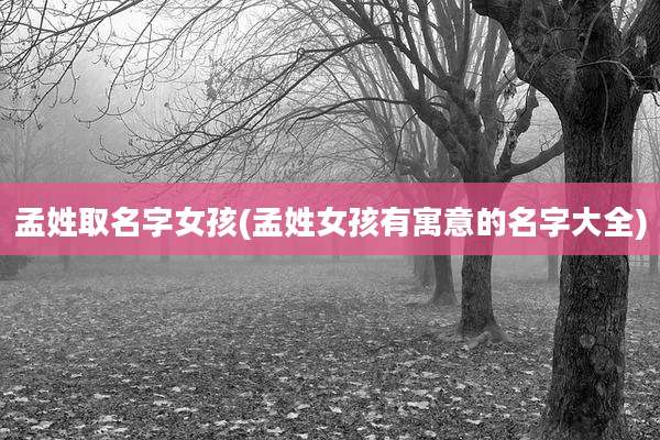 孟姓取名字女孩(孟姓女孩有寓意的名字大全)
