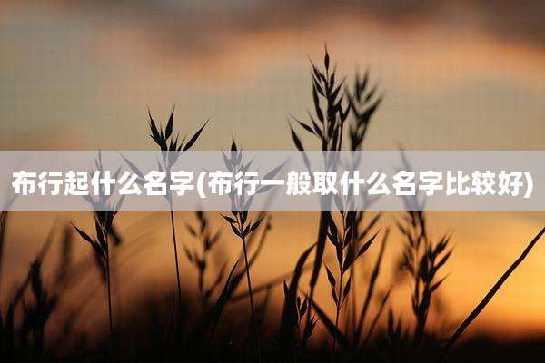 布行起什么名字(布行一般取什么名字比较好)