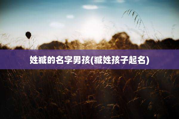 姓臧的名字男孩(臧姓孩子起名)
