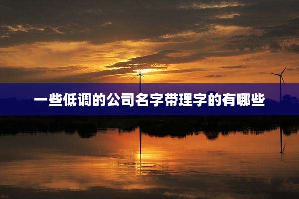 一些低调的公司名字带理字的有哪些