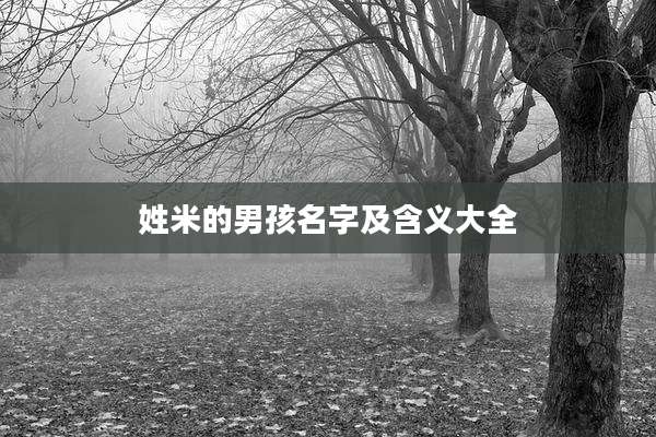 姓米的男孩名字及含义大全