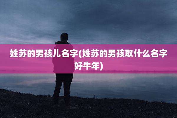 姓苏的男孩儿名字(姓苏的男孩取什么名字好牛年)