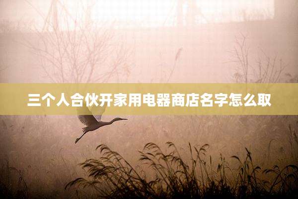 三个人合伙开家用电器商店名字怎么取
