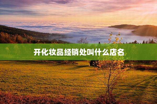 开化妆品经销处叫什么店名