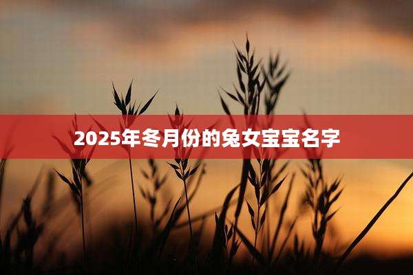 2025年冬月份的兔女宝宝名字