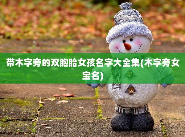 带木字旁的双胞胎女孩名字大全集(木字旁女宝名)