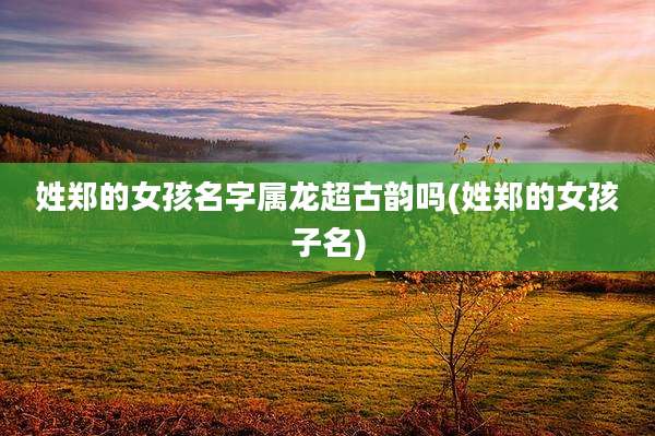 姓郑的女孩名字属龙超古韵吗(姓郑的女孩子名)