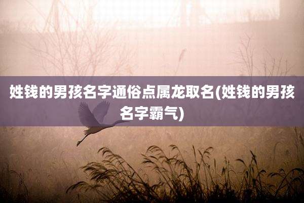 姓钱的男孩名字通俗点属龙取名(姓钱的男孩名字霸气)