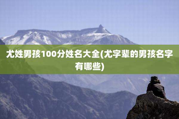 尤姓男孩100分姓名大全(尤字辈的男孩名字有哪些)