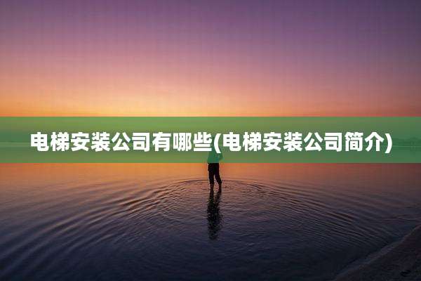电梯安装公司有哪些(电梯安装公司简介)