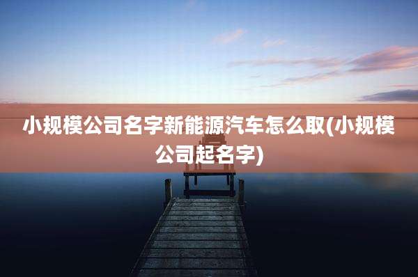小规模公司名字新能源汽车怎么取(小规模公司起名字)