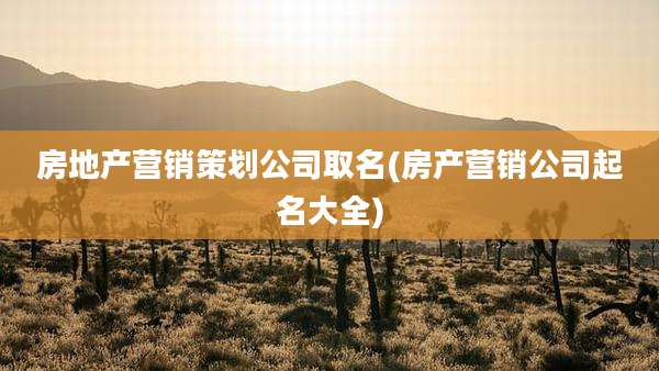 房地产营销策划公司取名(房产营销公司起名大全)