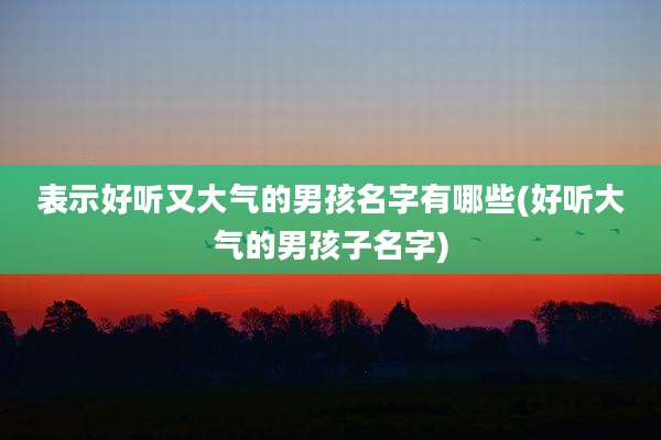 表示好听又大气的男孩名字有哪些(好听大气的男孩子名字)