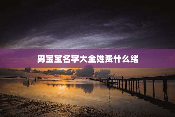 男宝宝名字大全姓费什么绪