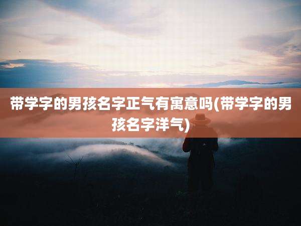 带学字的男孩名字正气有寓意吗(带学字的男孩名字洋气)