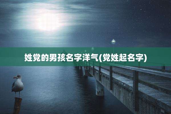 姓党的男孩名字洋气(党姓起名字)