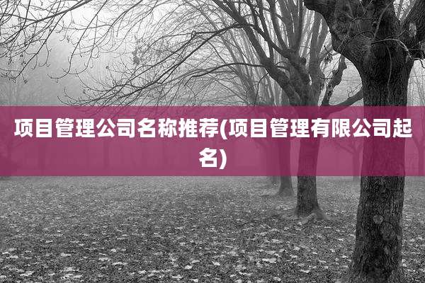 项目管理公司名称推荐(项目管理有限公司起名)
