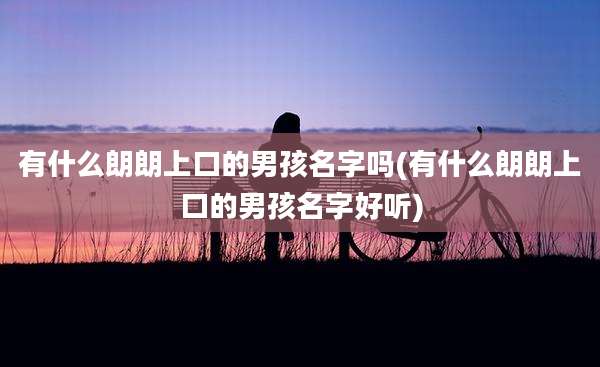 有什么朗朗上口的男孩名字吗(有什么朗朗上口的男孩名字好听)