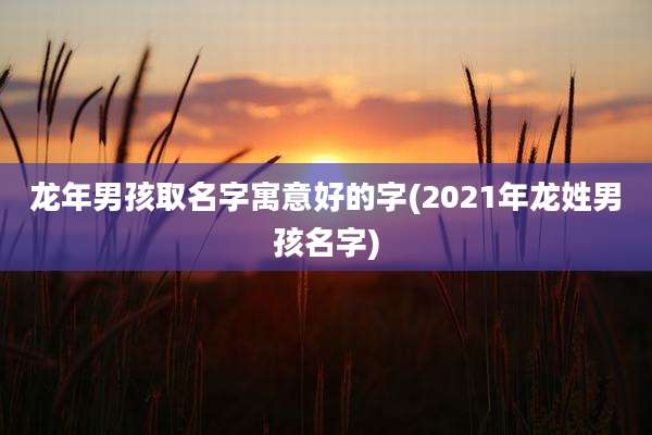 龙年男孩取名字寓意好的字(2021年龙姓男孩名字)