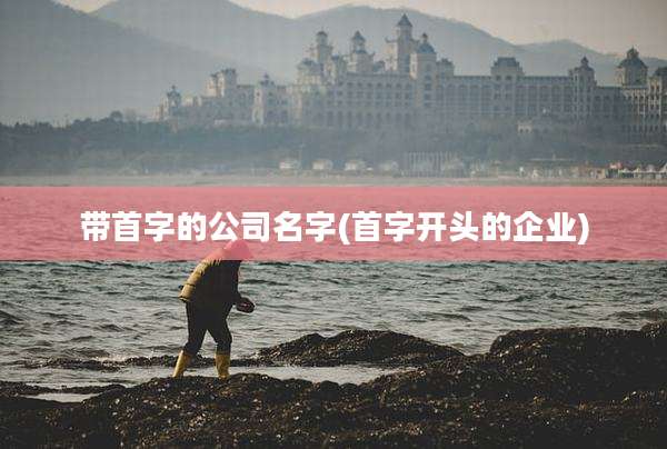 带首字的公司名字(首字开头的企业)